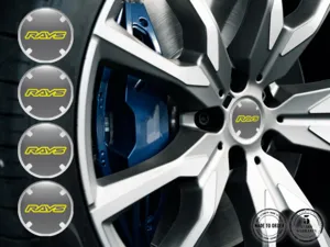 Rays Aufkleber Dome Edition Harz Emblem Labels